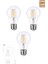 E27 220V 6W 4000K Filament LED Ampul ERD-283 1