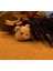 Küçük Ayıcık Amigurumi Anahtarlık - El Yapımı Sanatsal Örgü Anahtarlık Çanta Aksesuarı 1