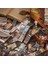 F Stili Dimeets Bill Pavilion Serisi Not Defteri Dekoratif El Sanatları Arka Plan Kağıdı Dıy Scrapbooking Günlüğü Albüm Günlük Etiketleri (Yurt Dışından) 3