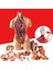 28CM Tarzı Anatomik Insan Gövde Modeli Eğitici 3D Resim Insan Vücut Yapısı Kitap Anatomi Iç Organ Tıbbi Eğitim Kalıp (Yurt Dışından) 3