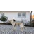 Kaçış Önleyici Köpek Tasması Petrol Yeşili 55 cm - 74 cm, M 2