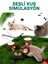 Kedi Oyuncakları Titreyen Peluş Oyuncak Uçan Kuş Oyuncak Trend Kedi Sesli Av Oyuncak Tüylü Kuş Oyuncak 3