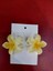 Lotus Toka 4cm Küçük Boy Metal Sert Plastik 1. Sınıf Malzeme 2'li Sarı Standart Aloha Çiçek 1
