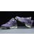 Air Jordan 4 Retro Canyon Purple 2
