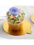 Mini Pasta Gold Sunum Altlığı Karton &sunum&altlık &11 cm 10 Adet 4