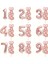 Rose Gold Kalpli 8 Yaş Folyo Balon Set 2