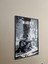 The Last Of Us Part Iı Poster Ellie 1