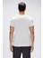 25,01,07,038 Flınt Bad Bear T-Shırt 1