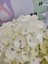 Beyaz Ithal Ortanca (Hydrangea Macrophylla) - Renkli ve Gösterişli Çiçekli Bitki 3