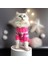 Kedi Köpek İçin Pembe Beyaz Çizgili Kazak 2
