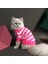 Kedi Köpek İçin Pembe Beyaz Çizgili Kazak 4