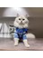 Kedi Köpek İçin Mavi Beyaz Çizgili Kazak 2
