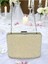 Incili Abiye Çanta Sedef Renk Gelin Çantası Abiye Çanta Gece Çantası Portföy Clutch 4