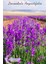 Lavande Organik Lavanta Suyu TONİK (L. Angustifolia) 200ML-SPREY 2