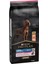 Proplan Büyük Irk Somonlu Yetişkin Köpek Maması 14 kg 1