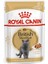 British Shorthair Adult Pouch Yetişkin Kedi Konservesi 85 gr 1