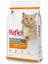 Tavuklu Pirinçli Yetişkin Kedi Maması 2 kg 4