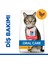 Hill’s Scıence Plan Oral Care Chicken Ağız Bakımı Tavuklu Yetişkin Kedi Maması 1,5 kg 1