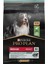 Proplan Kuzu Etli Orta Irk Yetişkin Köpek Maması 3 kg 2