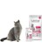 Sterilised Somonlu Kısırlaştırılmış Yetişkin Kedi Maması 1.5 kg 1
