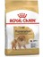 Pomeranian Yetişkin Köpek Maması 1,5kg 1