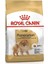 Pomeranian Yetişkin Köpek Maması 1,5kg 2