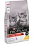 Original Kitten (Junior) Kedi Maması 10KG 1