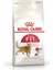 Fıt 32 -Yetişkin Kedi Maması- 15 kg 1