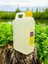 Bidon 1lt Limon Kolonyası 4