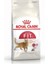 Fit 32 Kedi Maması 2 kg 1