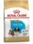Shih Tzu Puppy Özel Irk Yavru Köpek Maması 1,5 kg (STT:03/2025) - Petshopundan 1