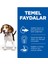 Kuzu Etli Orta Irk Yavru Köpek Maması 14 kg 3