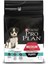 Proplan Medium Puppy Kuzu Etli Yavru Köpek Maması 3 kg 3