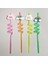 5 Parça Renkli Pipet Seti - Emojili Spiral Kokteyl- Çocuk Pipeti Temizleme Fırçalı 2