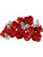 10328 LEGO Icons Gül Buketi 822 Parça +18 Yaş 2
