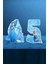 Frozen Elsa Temalı 5 Yaş Doğum Günü Parti Seti Doğum Günü Konsepti - Mini 3