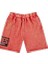 Wm Vault Vans x Arıes Fleece Shorts 3