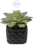 Yapay Mini Etli Echeveria Sukulent Açık Yeşil 12 cm Saksılı 1