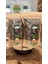 Keçiboynuzu Çayı ( Carob Tea ) 500 gr 2