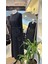 Basic Elbise 37814 Siyah 2