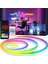 5V Rgb Neon Şerit LED Lamba 3M-5M-10M Telefon ve Kumanda ile Kontrol Sınırsız Renk Tak Çalıştır 1