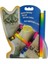 Multicolor Kedi Tasması 1