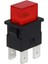 İntercom IC-180H 4 Pın Kalıcılı Basmalı Anahtar PS23-16N 1