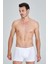 Kom Davide Boxer 1