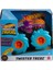 GVK37 Hot Wheels Monster Trucks 1:43 Çek Bırak Arabalar 4