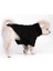 Köpek Kıyafeti Wellsoft Boğazlı Sweat Black 4