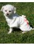 Köpek Kıyafeti Sweat Wellsoft Sweat Boğazlı Ayıcıklı 4