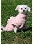 Köpek Kıyafeti Sweat Boğazlı Wellsoft Ayıcık Detaylı 4