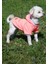 Köpek Kıyafeti Polar Swaet Kapüşonlu Neon Pembe 5
