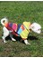 Köpek Kıyafeti Kapüşonlu Sweat Wellsoft Fıstık Yeşil-Turuncu 4